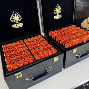 Alternative view of NEW Ace 2G