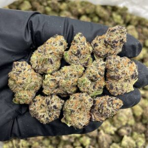 Peanut Butter Biscott