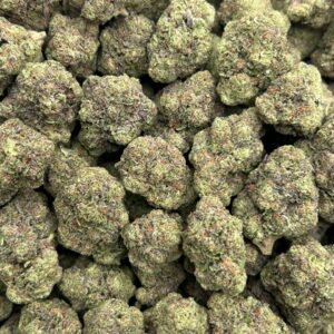 Alternative view of Purple Gruntz