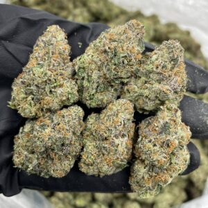 Alternative view of Jawbreaker