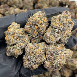 Alternative view of Animal Plushers